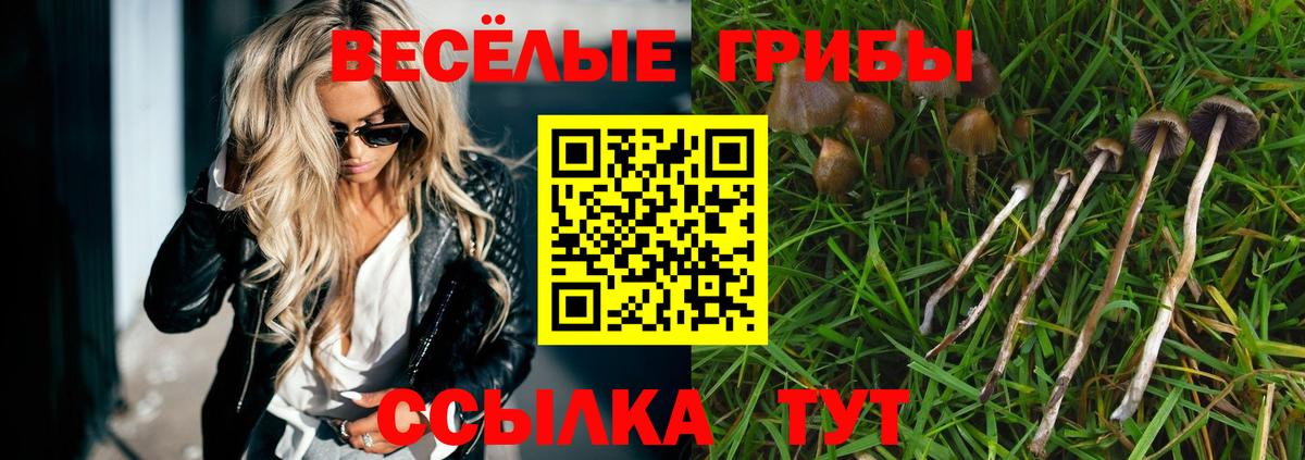 Галлюциногенные грибы Cubensis  Вход с VPN  Псилоцибиновые грибы Magic Shrooms  Лысьва 